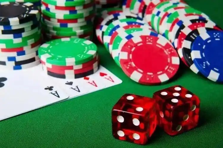 79m bet com