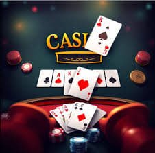 79m bet com